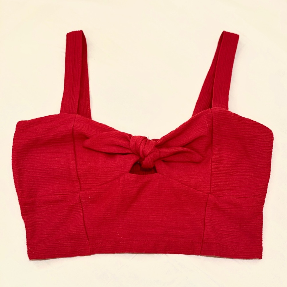 STREETWEAR SOCIETY Bow Crop top